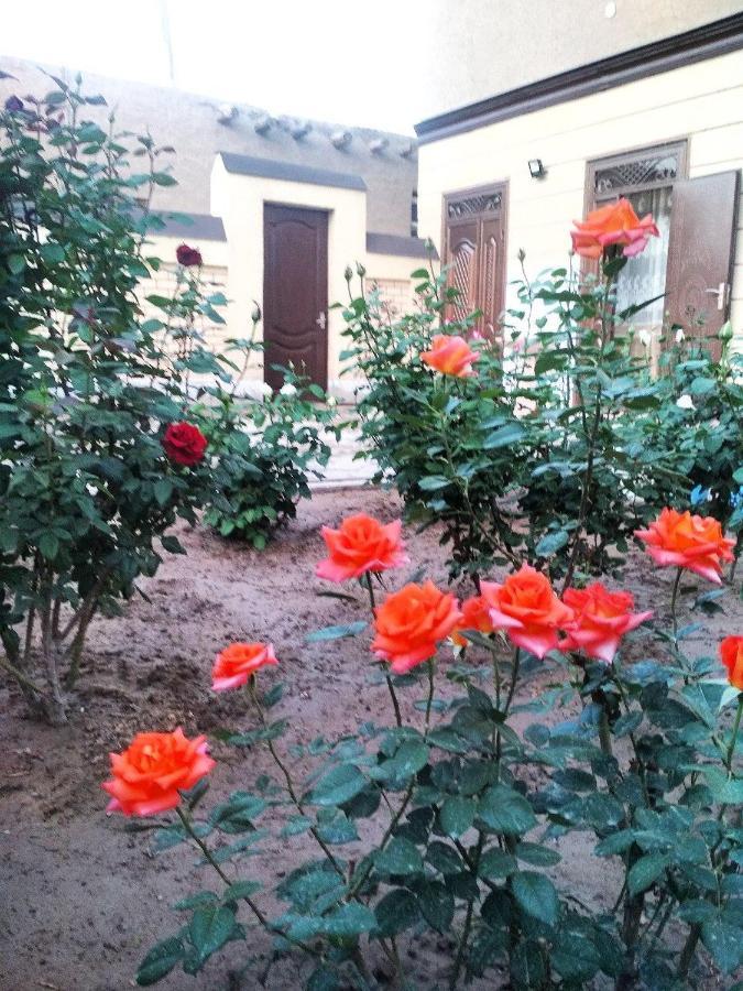 Shodlik Guest House Khiva Eksteriør bilde